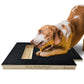 5 Pcs Replaceable Sandpaper for The ‘PallyPad’ Dog Nail Scratch Square Pad