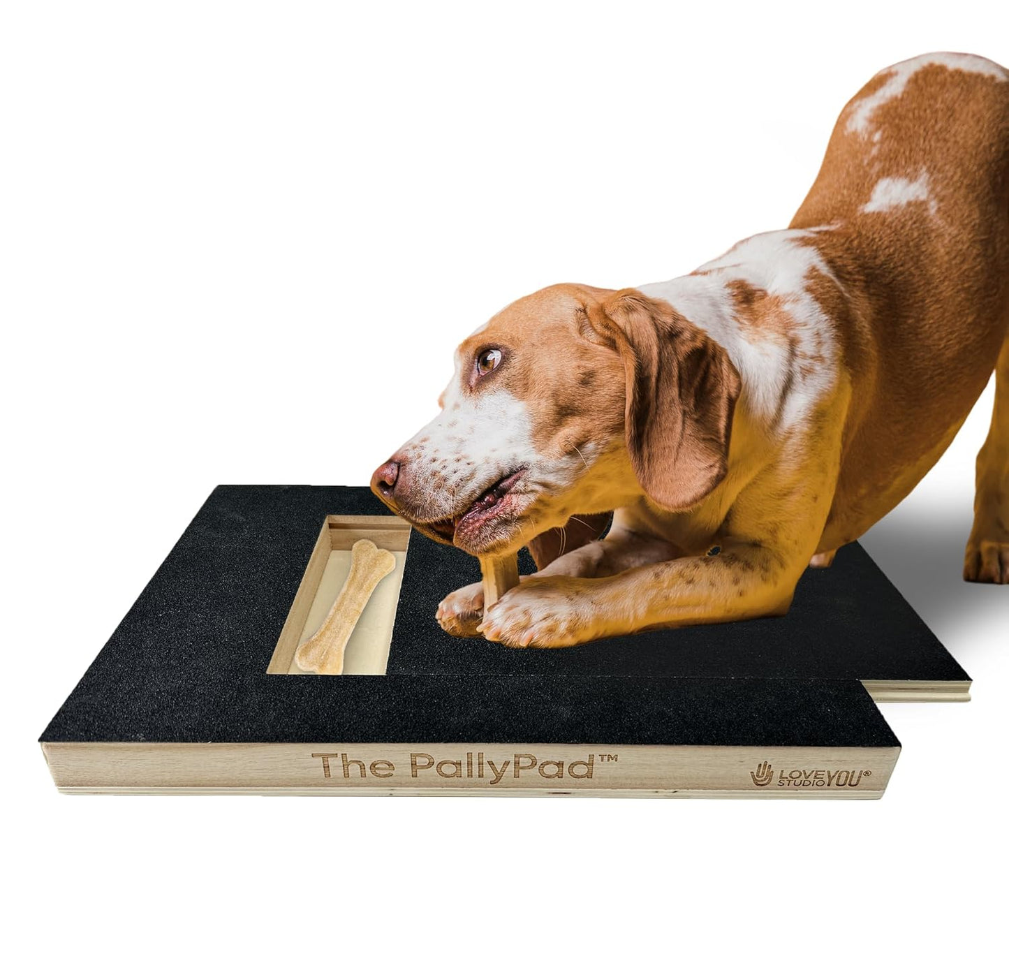 5 Pcs Replaceable Sandpaper for The ‘PallyPad’ Dog Nail Scratch Square Pad